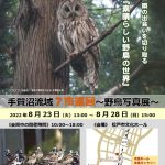 巡回野鳥写真展松戸市